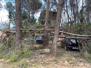 Sant Pere de Ribes tramitarà sol·licituds de subvenció al govern espanyol per a necessitats d’emergència pel temporal. Ajt Sant Pere de Ribes