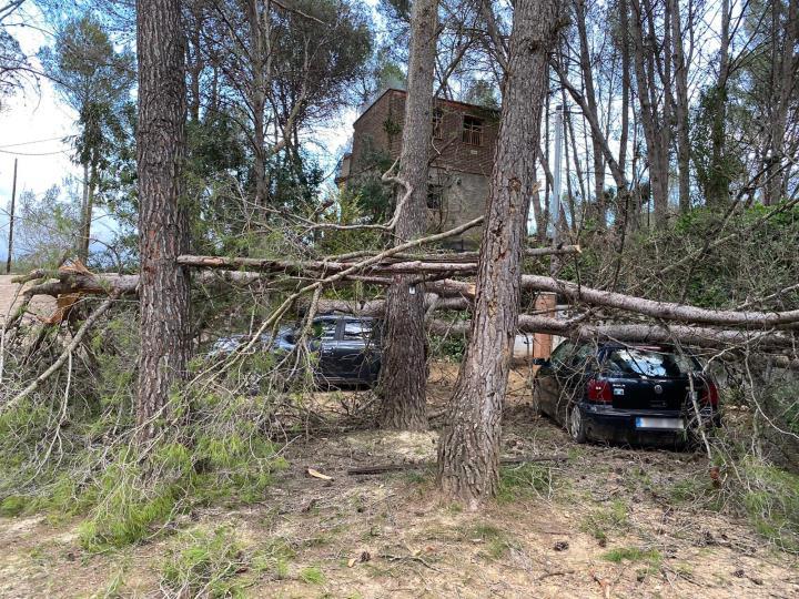 Sant Pere de Ribes tramitarà sol·licituds de subvenció al govern espanyol per a necessitats d’emergència pel temporal. Ajt Sant Pere de Ribes