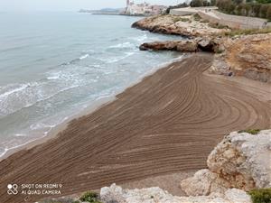 Sitges aprofita la tardor i l’hivern per realitzar el manteniment de les platges. Ajuntament de Sitges