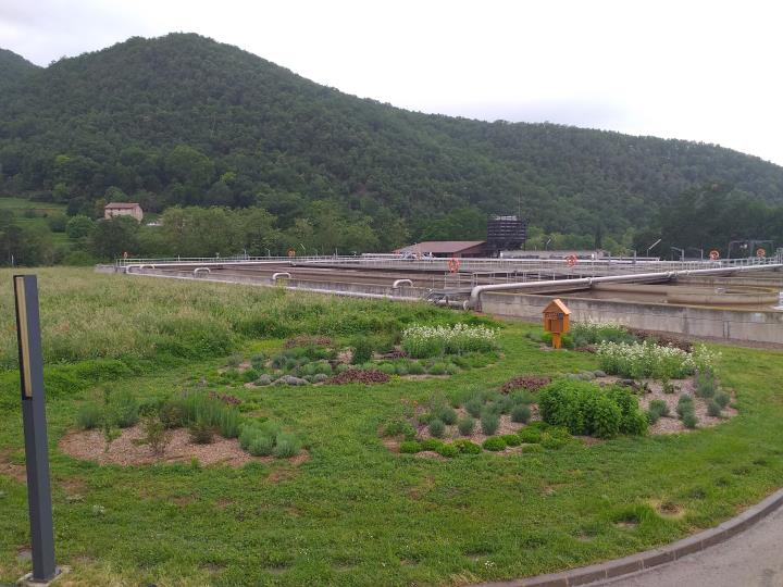 SOREA llança un programa per controlar les espècies invasores a les instal·lacions del cicle de l'aigua. Sorea