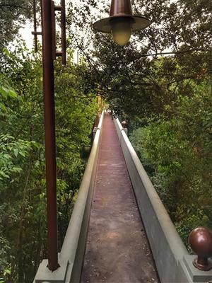 Torrelavit reestrena el Pont de les Escoles coincidint amb l’any del Centenari