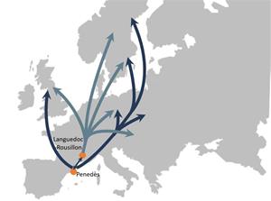 Un estudi proposa ampliar el transport híbrid carretera-tren en les exportacions del vi del Penedès i el Rosselló