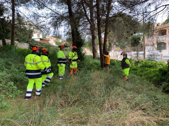 Un pla d'ocupació amb la col.laboració del Consell Comarcal del Baix Penedès millora entorns naturals de la comarca. CC Baix Penedès