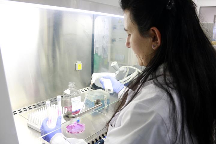 Una investigadora del Grup de Cèl·lules Mare i Càncer del Vall d'Hebron Institut d'Oncologia (VHIO). ACN