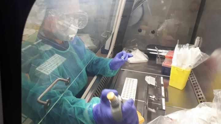 Una professional de l'Hospital Sant Joan de Déu Barcelona al laboratori de microbiologia, on es fan les proves PCR per al diagnòstic de la covid-19. H