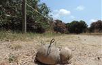 Veïns de Cubelles denuncien l'ajuntament per un espectacle pirotècnic a la desembocadura del Foix a la Xarxa Natura 2000. Pablo Ruiz