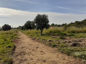 Vilanova es compromet a inventariar i arranjar les rutes ramaderes del municipi. EIX