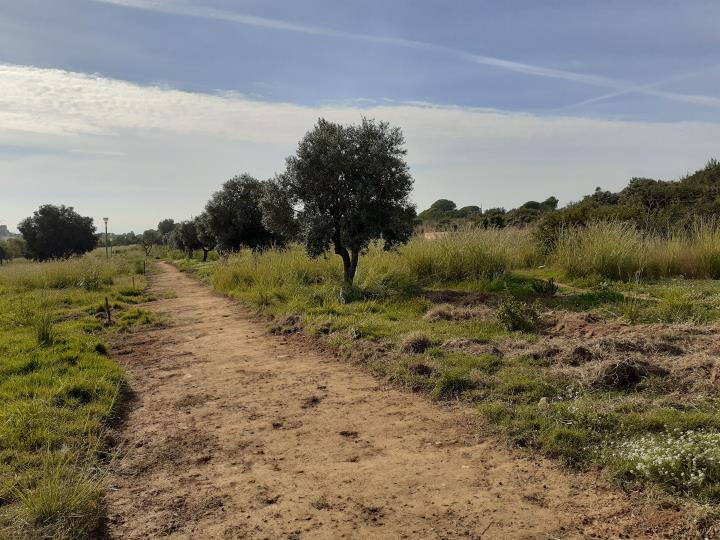 Vilanova es compromet a inventariar i arranjar les rutes ramaderes del municipi. EIX
