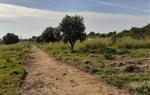 Vilanova es compromet a inventariar i arranjar les rutes ramaderes del municipi. EIX