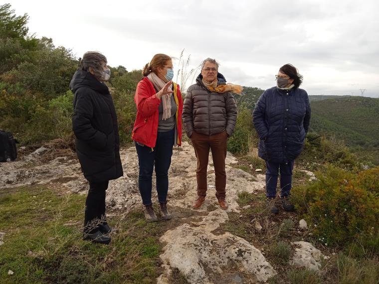 Adverteixen del fort impacte que la construcció de la MAT també tindria a l'Alt Penedès. Ramon Filella