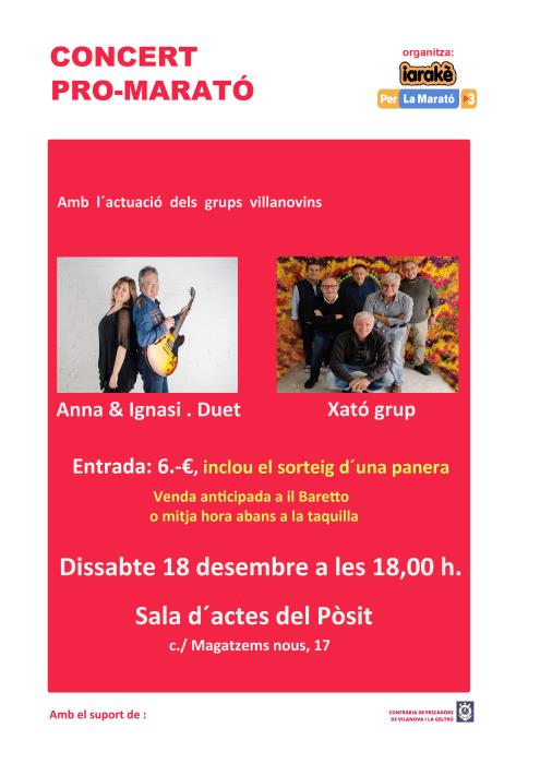 Concert per la Marató de TV3