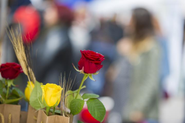 Diada de Sant Jordi a Vilafranca del Penedès