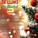 Encesa+de+llums+de+Nadal+a+Canyelles