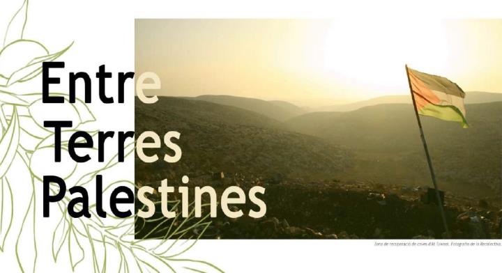Entre Terres Palestines