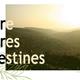 Entre+Terres+Palestines