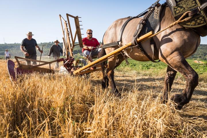 Festa del batre de Les Gunyoles