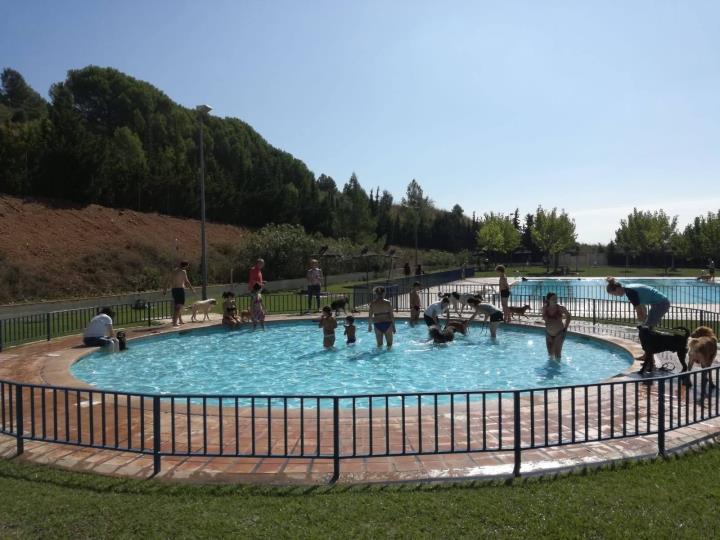 Jornada de portes obertes per a mascotes a la piscina de Torrelles 