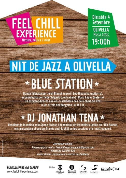Nit de jazz a Olivella