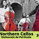 NORTHERN+CELLOS+Violoncels+de+Pel%c2%b7l%c3%adcula