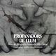 Profanadors+de+llum