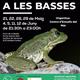 Ruta+naturalista+per+les+basses++dels+Jardins+de+Terramar+