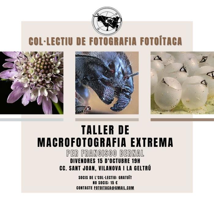 Taller de Macrofotografia Extrema