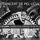 Un+concert+de+pel%c2%b7l%c3%adcula