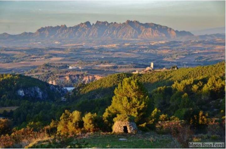 Visita al Castell de Subirats i passejada fins al jaciment paleontològic Els Casots