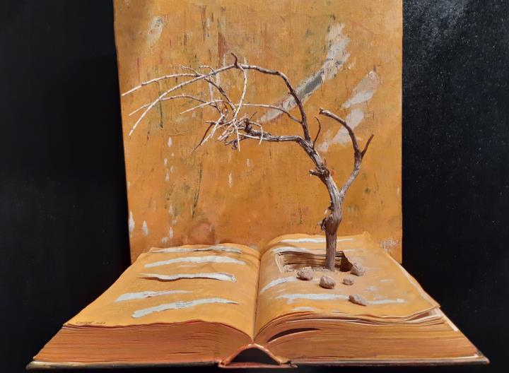 Visita comentada i lectura de Haikus a l’exposició “Territori. Anar al bosc i trobar el silenci”