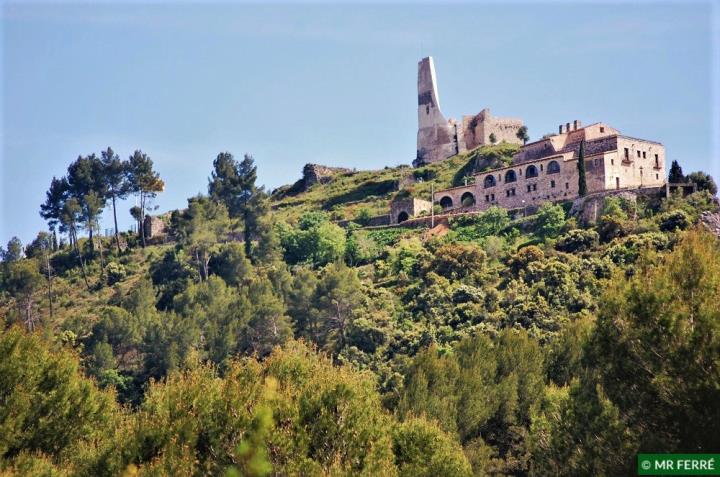 Visites al Castell de Subirats 