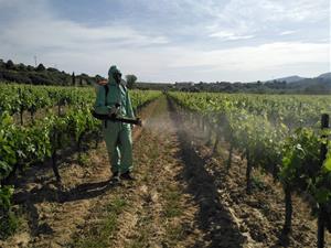 Avenç en el coneixement de tècniques i mètodes alternatius a la lluita contra plagues en viticultura. INCAVI