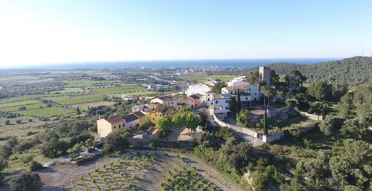 Baix Penedès. Eix