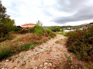 Calafell i Cunit obriran un nou carrer que comunicarà els dos municipis a la part de muntanya. Ajuntament de Calafell