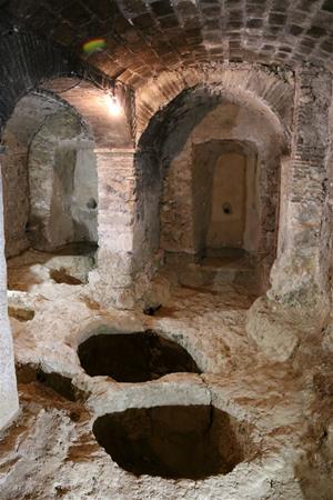 Cellers Torres elabora el primer vi amb la varietat ancestral Moneu, recuperada recentment al Penedès