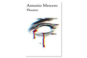 Coberta de 'Pleamar' d'Antonio Mercero. Eix