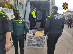 Confisquen més de 4.000 peces de roba falsificades al mercadal de Segur de Calafell