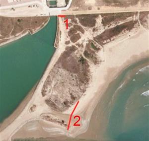 Cubelles tanca els accessos a la platja de Les Salines per la preservació d'aus protegides. Ajuntament de Cubelles