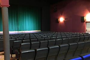 Des de les sales: una perspectiva local del món del cinema. EIX