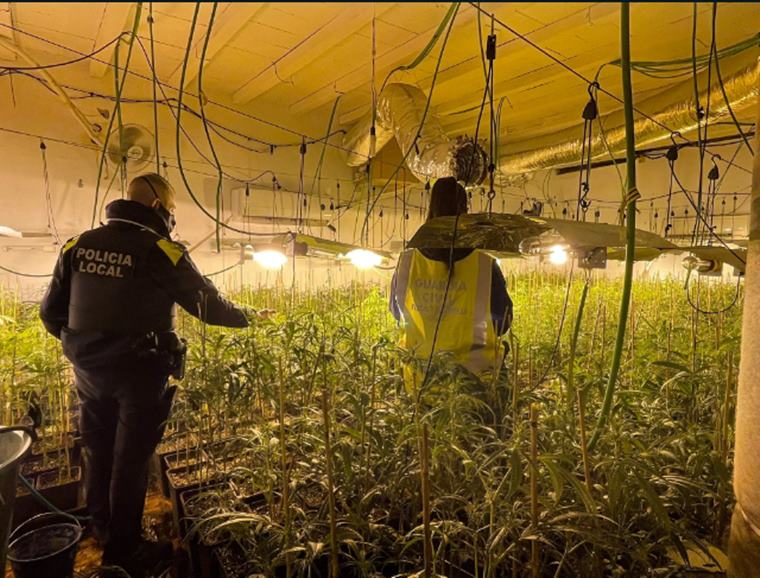 Desmantellen una plantació de marihuana de l’interior d’un xalet a Cunit. Ajuntament de Cunit