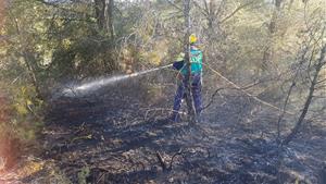 Detenen un jove com a presumpte autor de sis incendis aquest diumenge a l'Alt Penedès. ADF La Carrerada