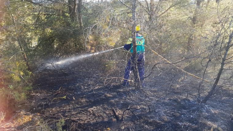 Detenen un jove com a presumpte autor de sis incendis aquest diumenge a l'Alt Penedès. ADF La Carrerada