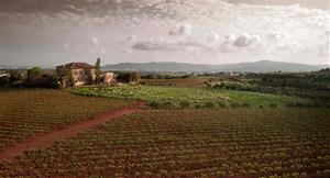 El Baix Penedès impulsa cinc noves iniciatives per captar el turisme de proximitat a l'interior de la comarca. CC Baix Penedès