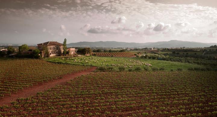 El Baix Penedès impulsa cinc noves iniciatives per captar el turisme de proximitat a l'interior de la comarca. CC Baix Penedès