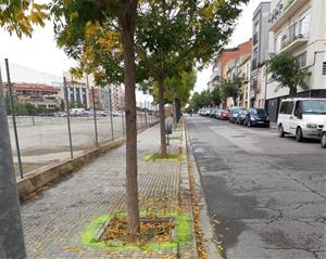 El carrer Comerç de Vilafranca duplicarà el nombre d’arbres en el projecte de nova urbanització del vial. Ajuntament de Vilafranca