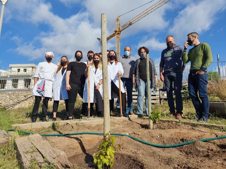 El Centre d’Interpretació de la Malvasia inicia la plantació de ceps a tres espais representatius de Sitges. Ajuntament de Sitges