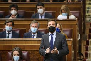 El president del PP, Pablo Casado, a la sessió de control al Congrés. ACN