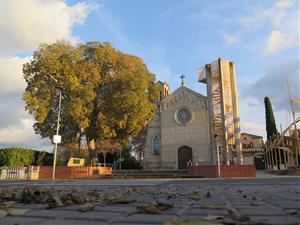 El risc de caiguda obliga a tallar el lledoner de davant l’església dels Monjos. EIX