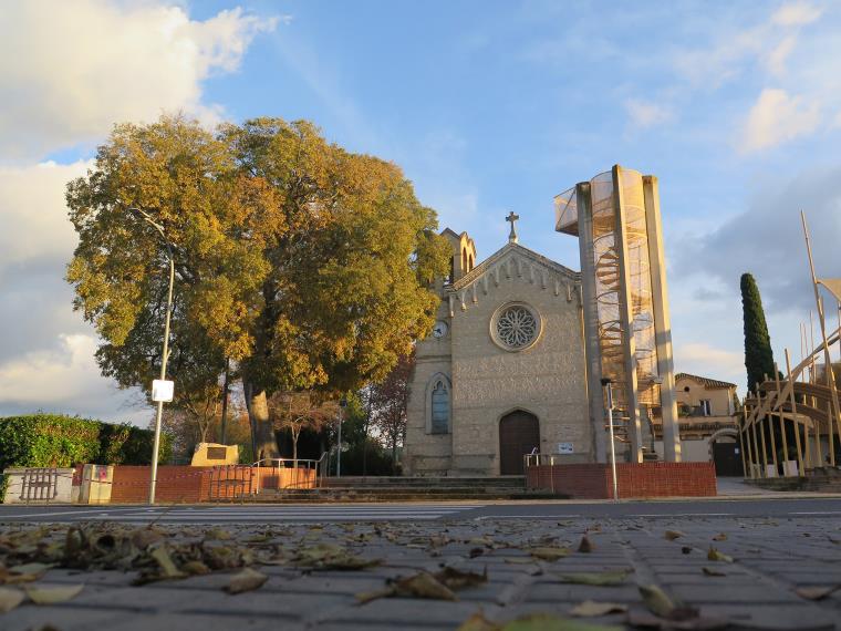 El risc de caiguda obliga a tallar el lledoner de davant l’església dels Monjos. EIX