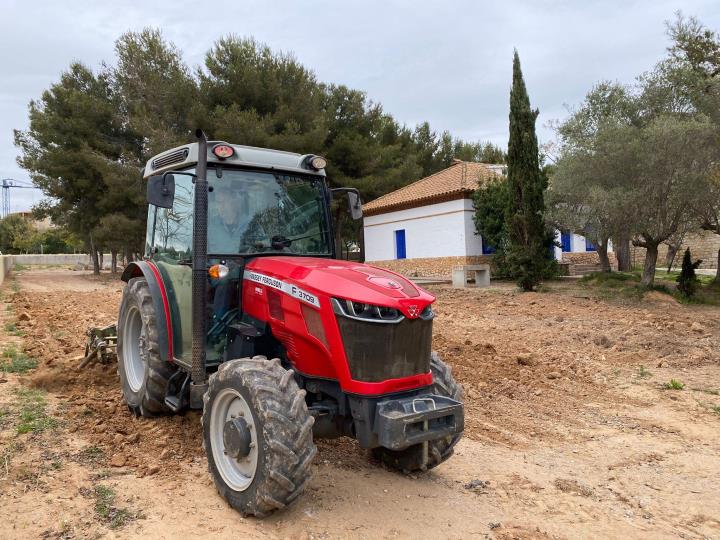 Els ceps de Malvasia de Sitges arriben a Can Milà. Ajuntament de Sitges