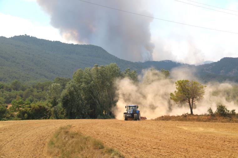 Els pagesos de l'Anoia llauren sense descans els camps de cereal per mirar de frenar el foc si vira. ACN